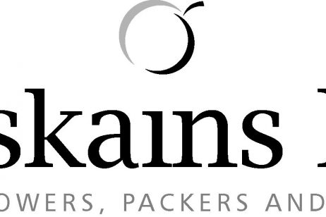 Gaskains