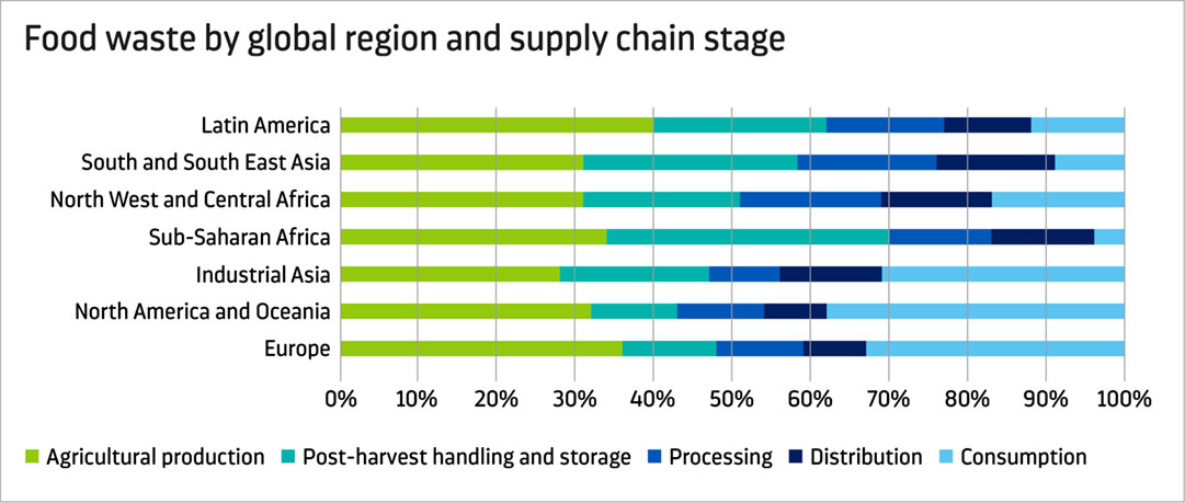 Food waste by global region and supply chain stage