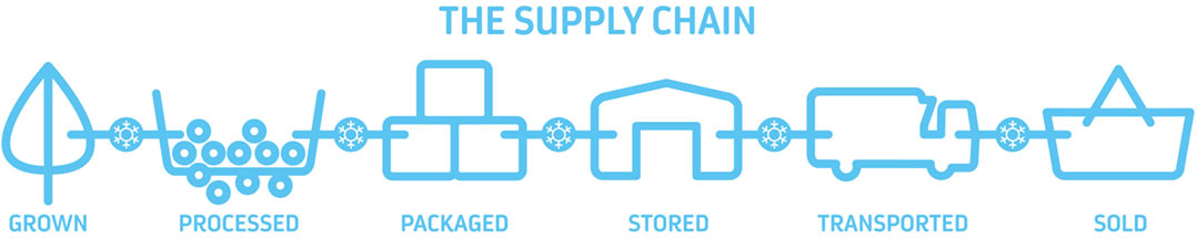 The supply chain