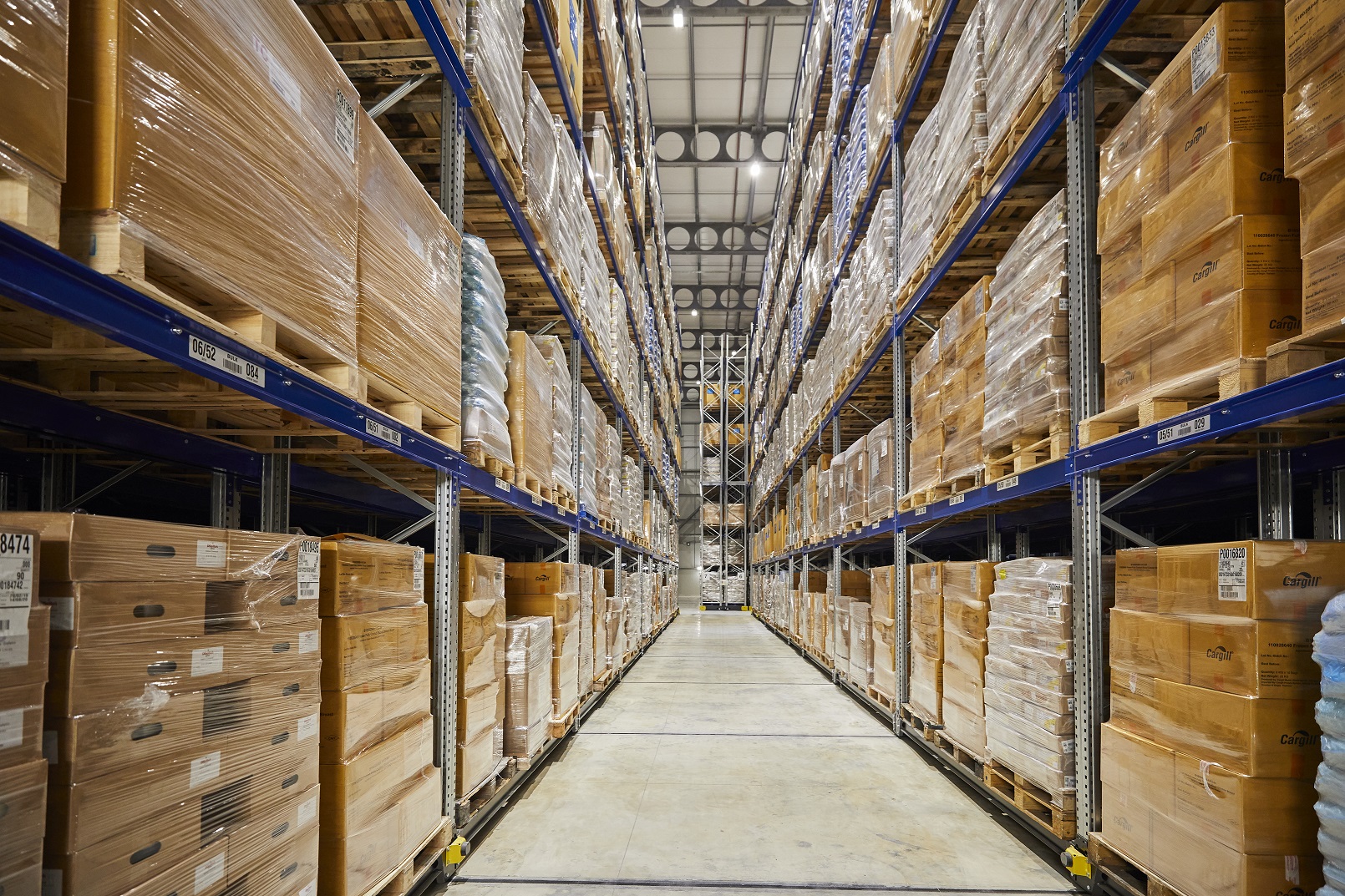 Keeping it Cool: Inside the Cold Chain Federation’s Expert Groups